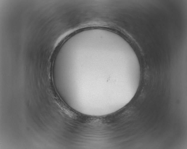 X0000076061222200610201939