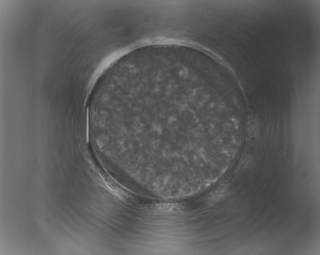 X0000076061223200610201939