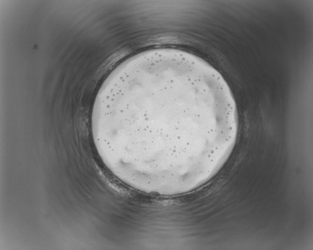 X0000076061225200610201939