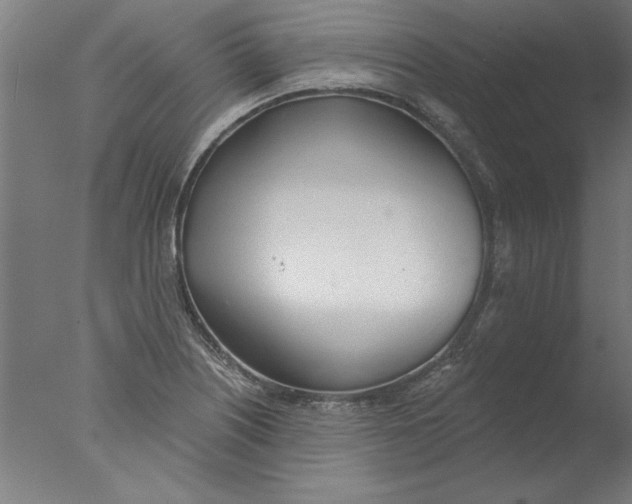 X0000076061226200610201939