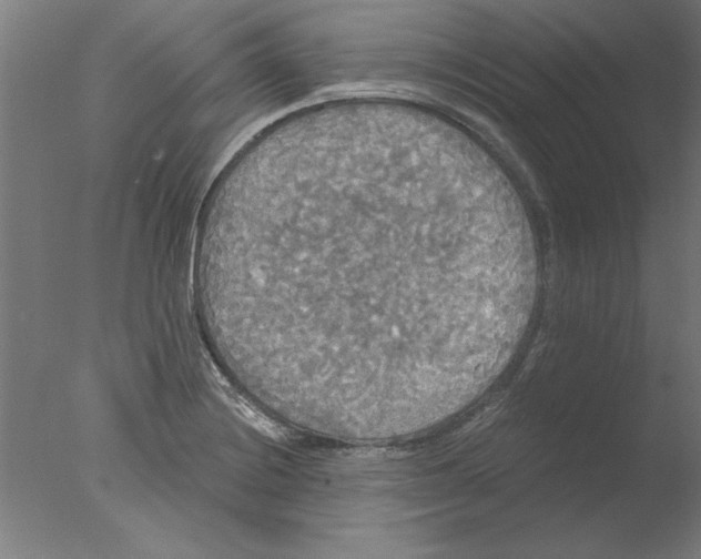 X0000076061228200610201939