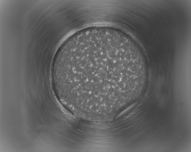 X0000076061229200610201939