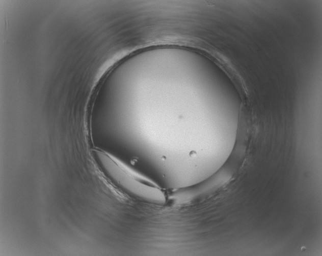 X0000076061230200610201939