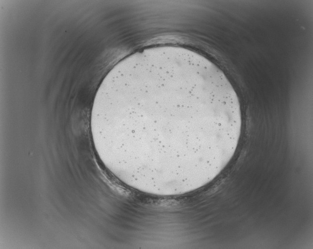 X0000076061233200610201940