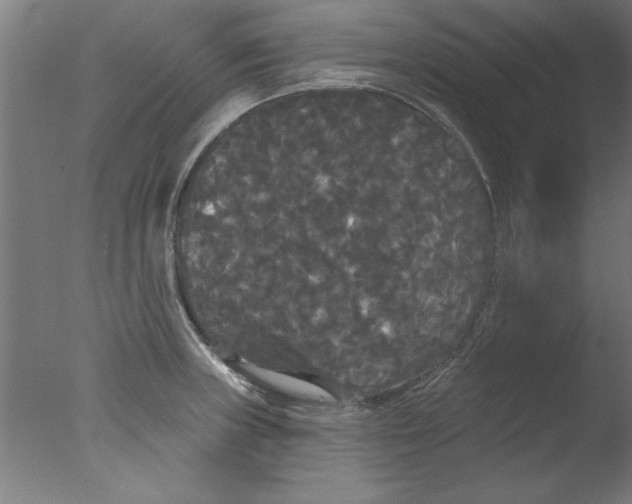 X0000076061235200610201940