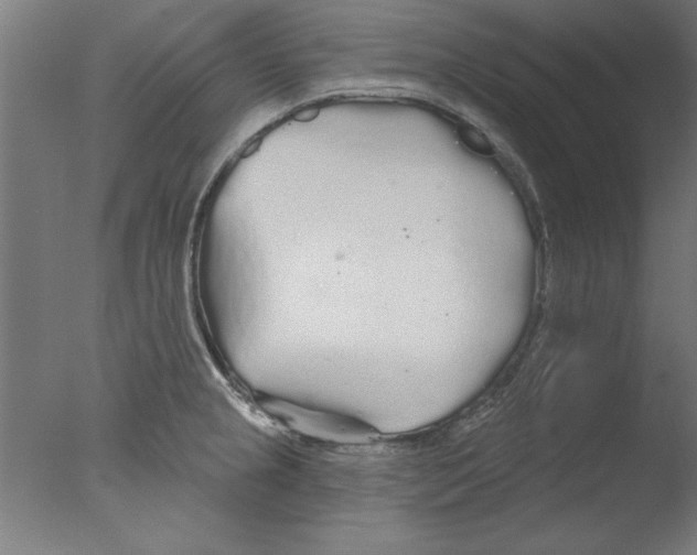 X0000076061237200610201940