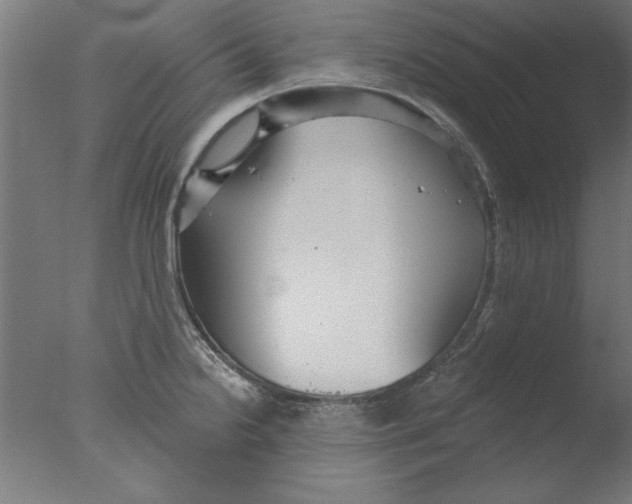 X0000076061238200610201940