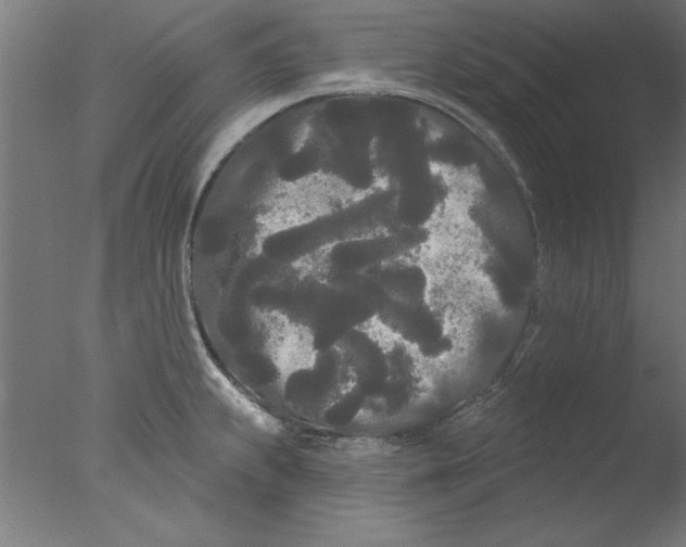 X0000076061239200610201940