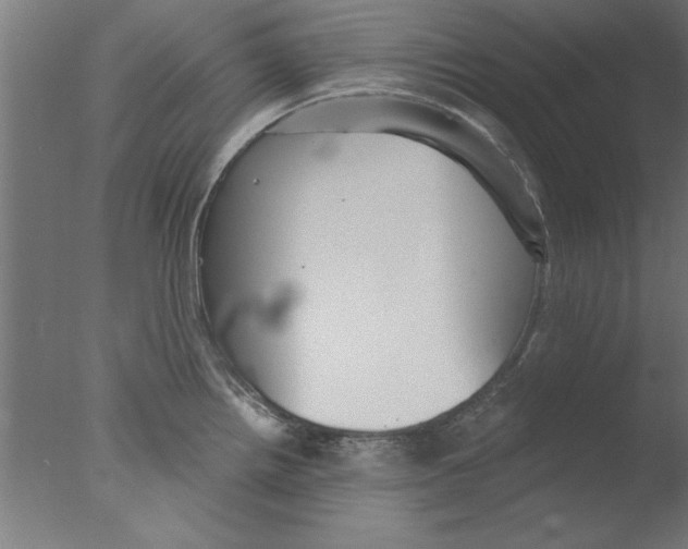 X0000076061242200610201940