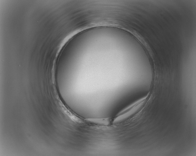 X0000076061246200610201940