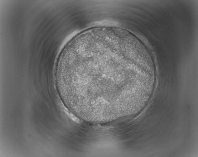 X0000076061248200610201940