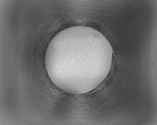 X0000076061249200610201939