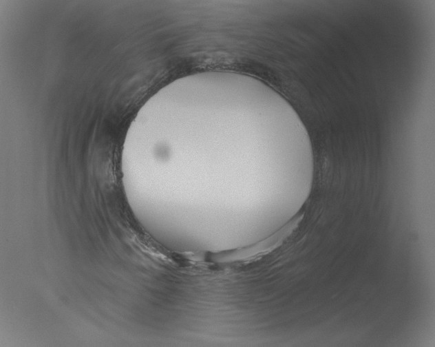 X0000076061250200610201939