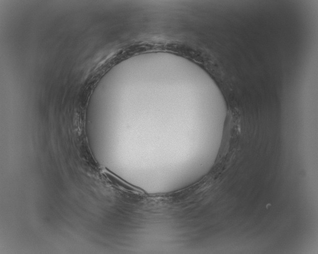 X0000076061253200610201939