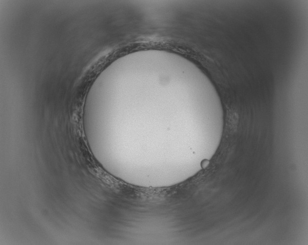 X0000076061254200610201939