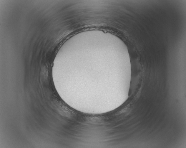 X0000076061257200610201939