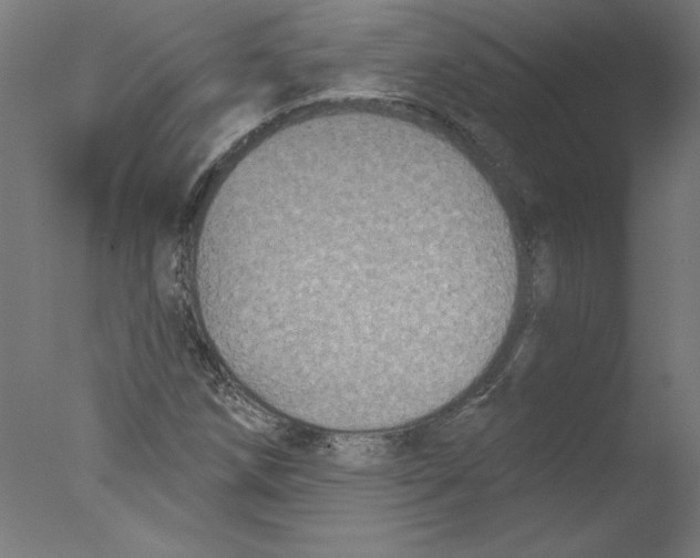 X0000076061258200610201939