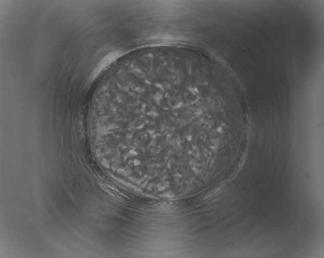 X0000076061259200610201939