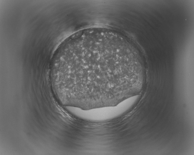 X0000076061260200610201939