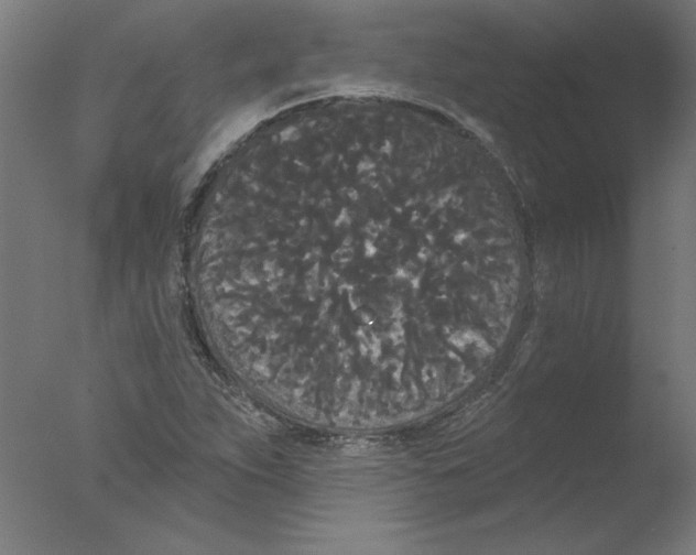 X0000076061263200610201939