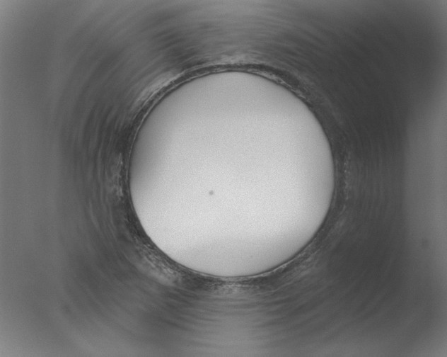 X0000076061265200610201939