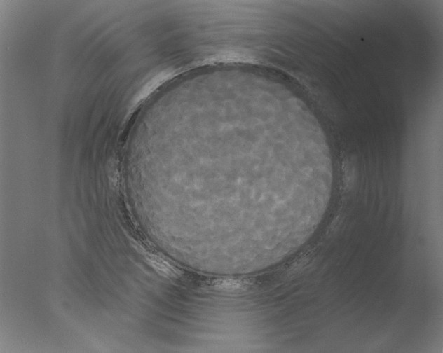 X0000076061266200610201939