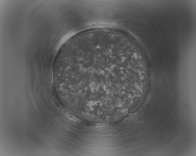 X0000076061267200610201939