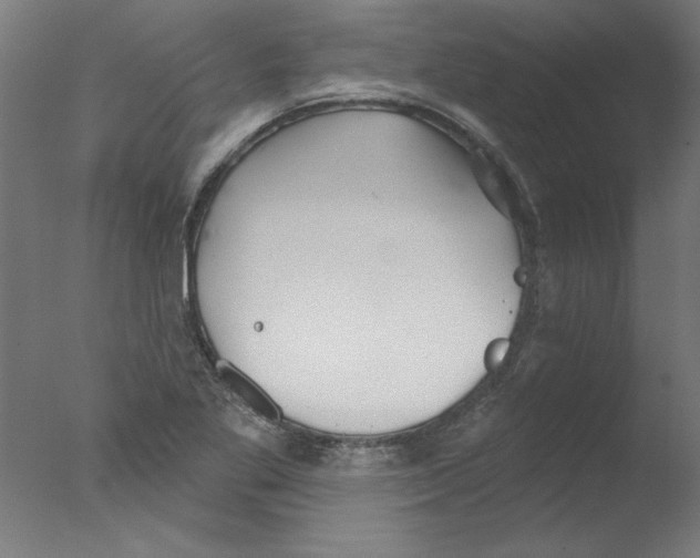 X0000076061269200610201939