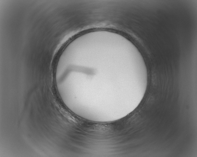 X0000076061270200610201939