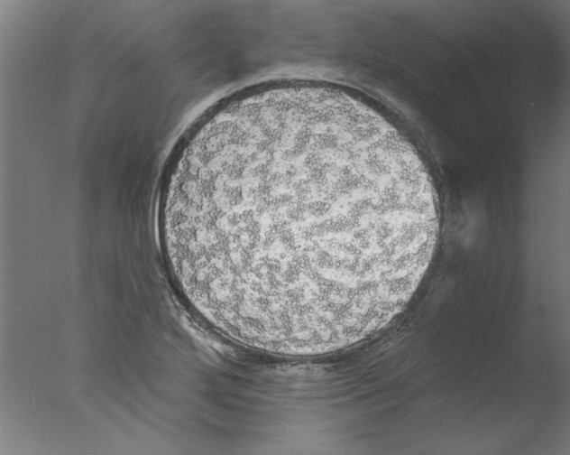 X0000076061272200610201939