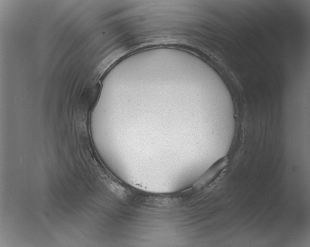 X0000076061273200610201939