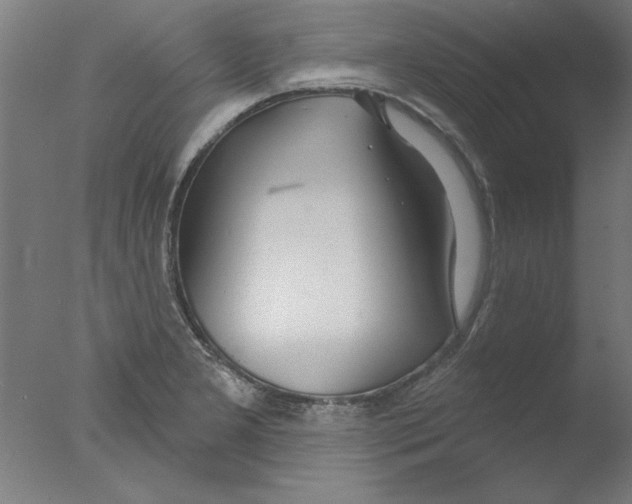 X0000076061277200610201938