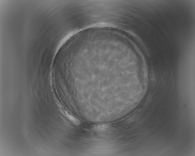 X0000076061278200610201938