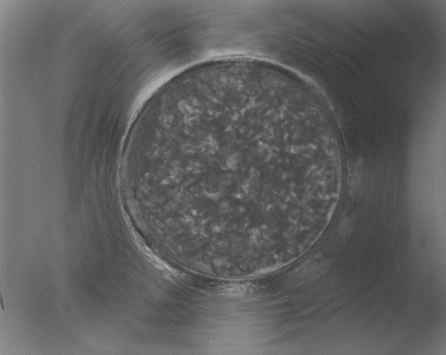 X0000076061279200610201938