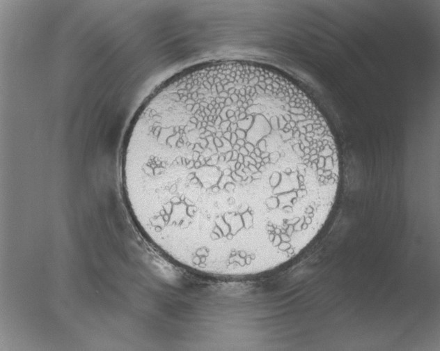 X0000076061280200610201938