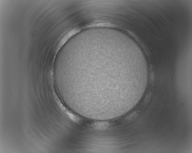 X0000076061282200610201938