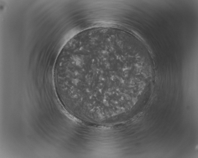 X0000076061283200610201938