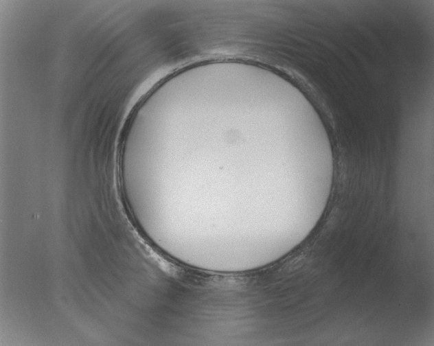 X0000076061286200610201938