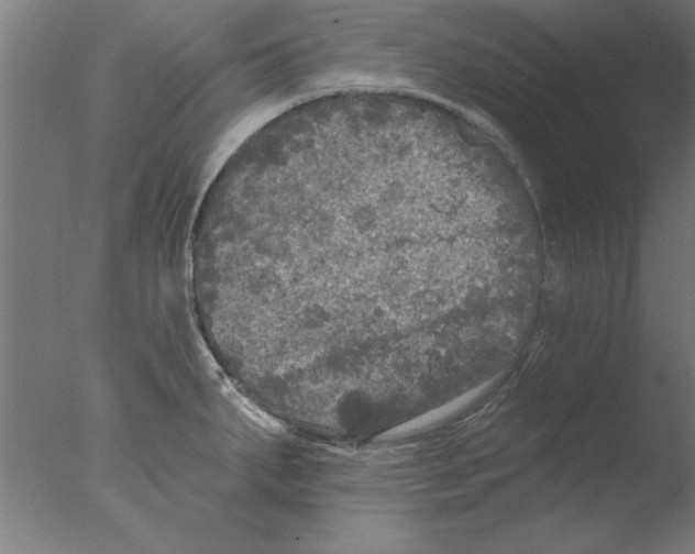 X0000076061287200610201938