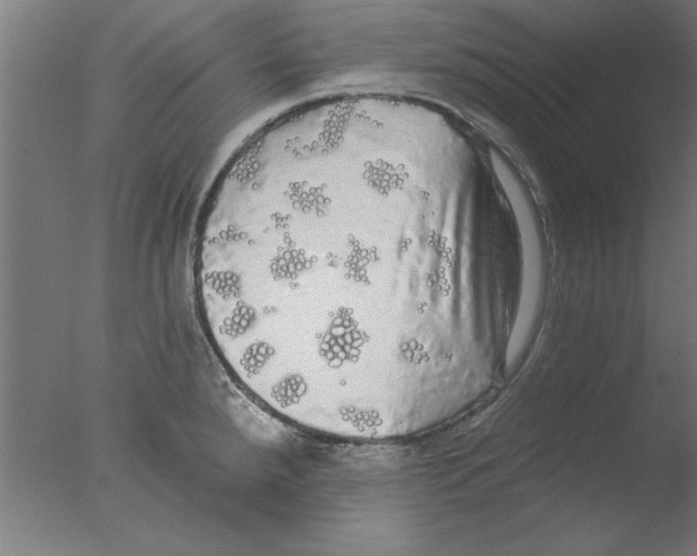 X0000076061288200610201938