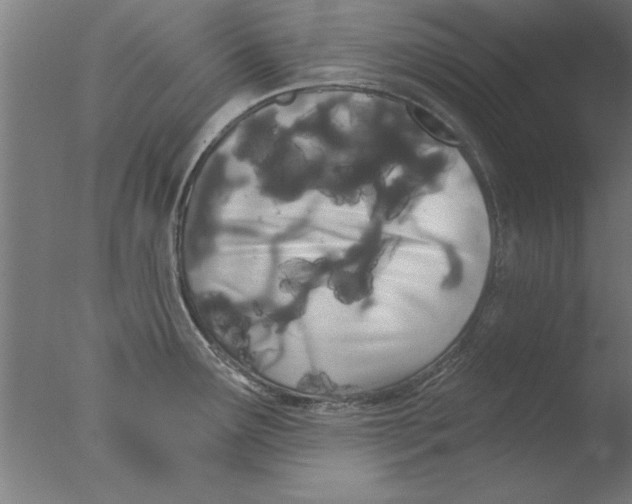 X0000076061291200610201938