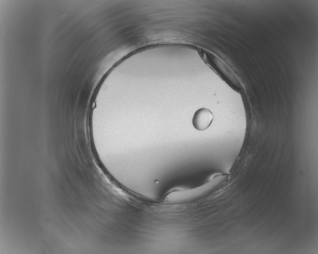 X0000076061293200610201938