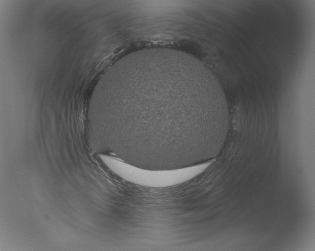 X0000076061298200610201937