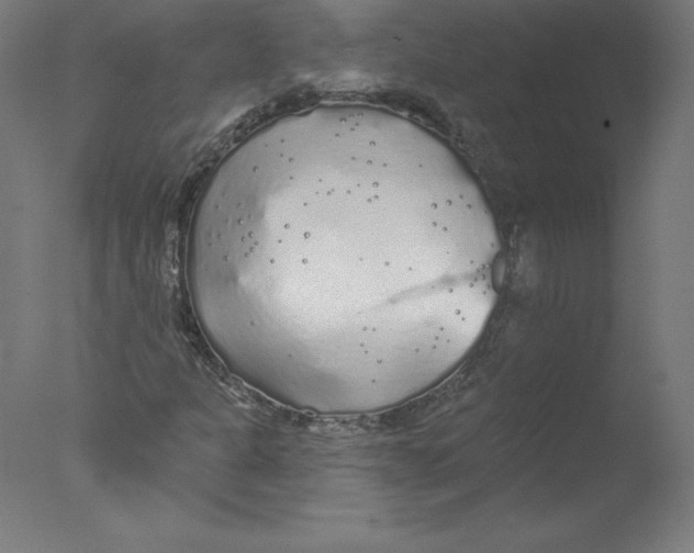 X0000076061301200610201937