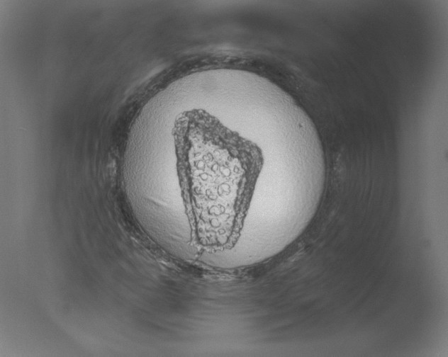 X0000076061302200610201937