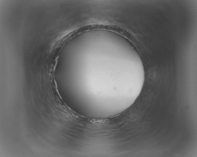 X0000076061303200610201937