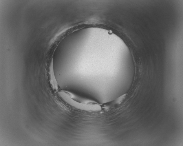 X0000076061304200610201937