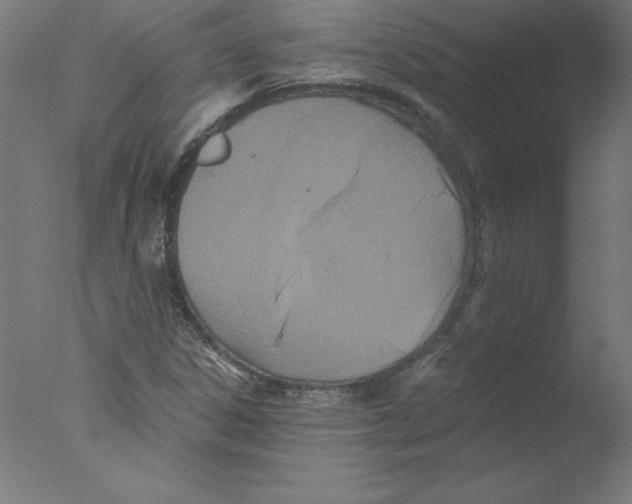 X0000076061306200610201938