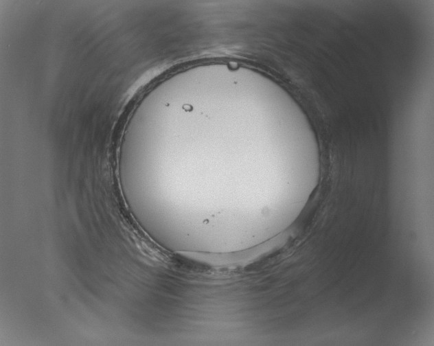 X0000076061308200610201938