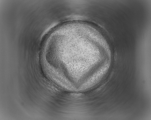 X0000076061309200610201938